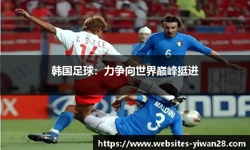 韩国足球：力争向世界巅峰挺进
