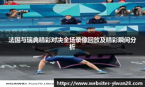 法国与瑞典精彩对决全场录像回放及精彩瞬间分析
